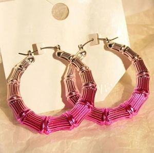 💟Pink & Silver💟Ombre💟Bamboo Earrings💟